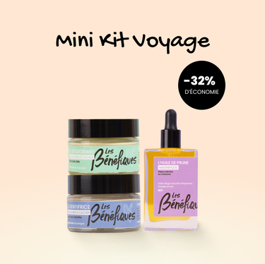 Mini Kit Voyage